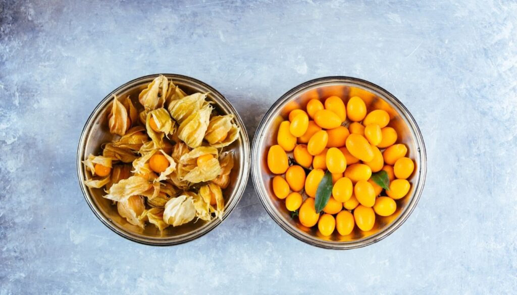 Fruit physalis