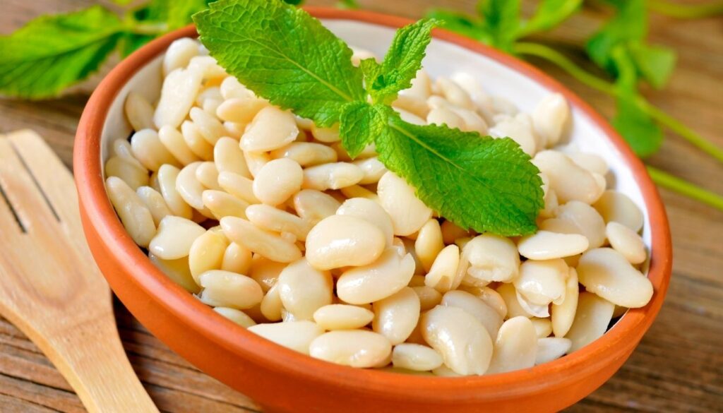 Haricot blanc bienfaits