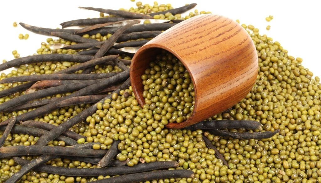 Soja vert