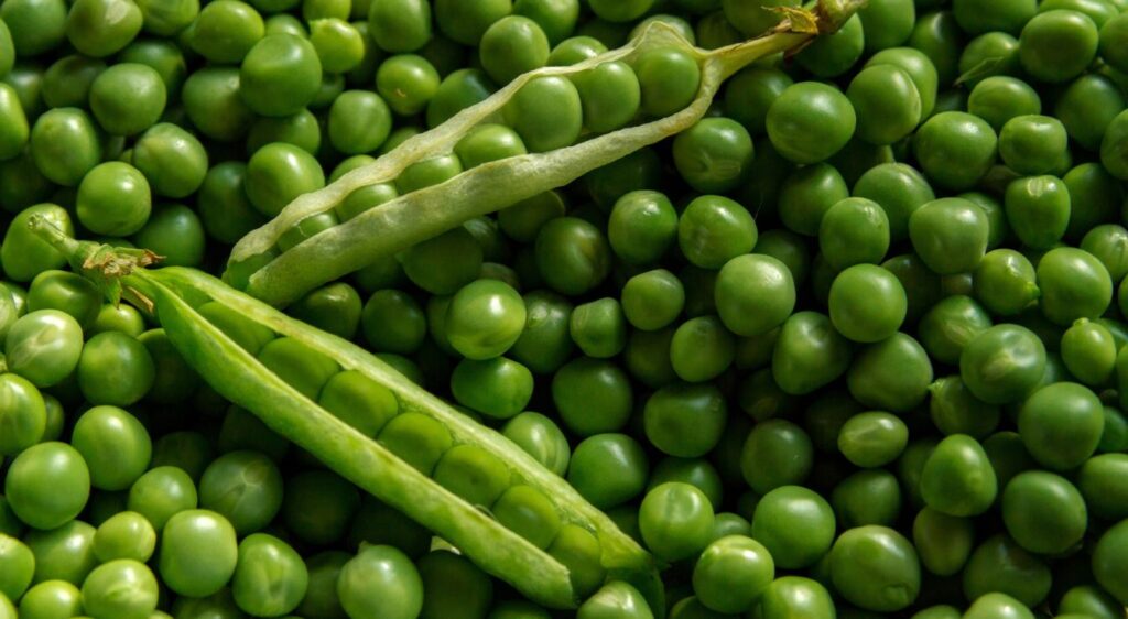 Petits pois
