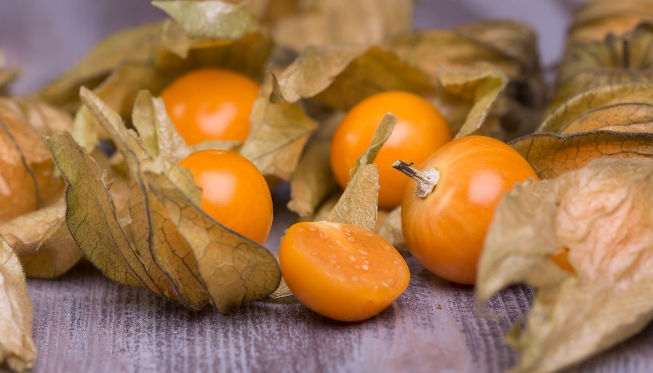 Physalis