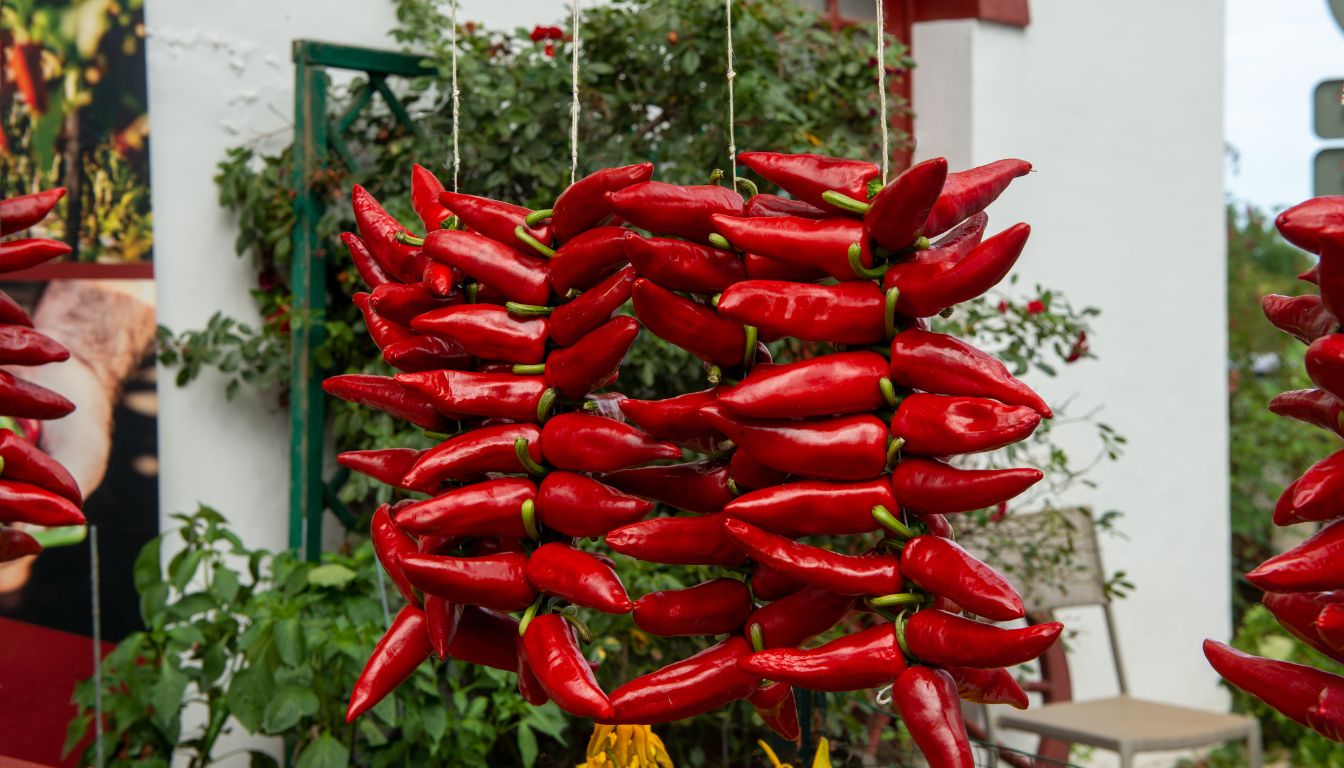 piment d’Espelette