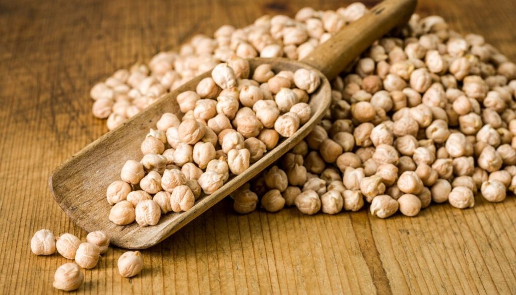 Pois chiche légumineuse