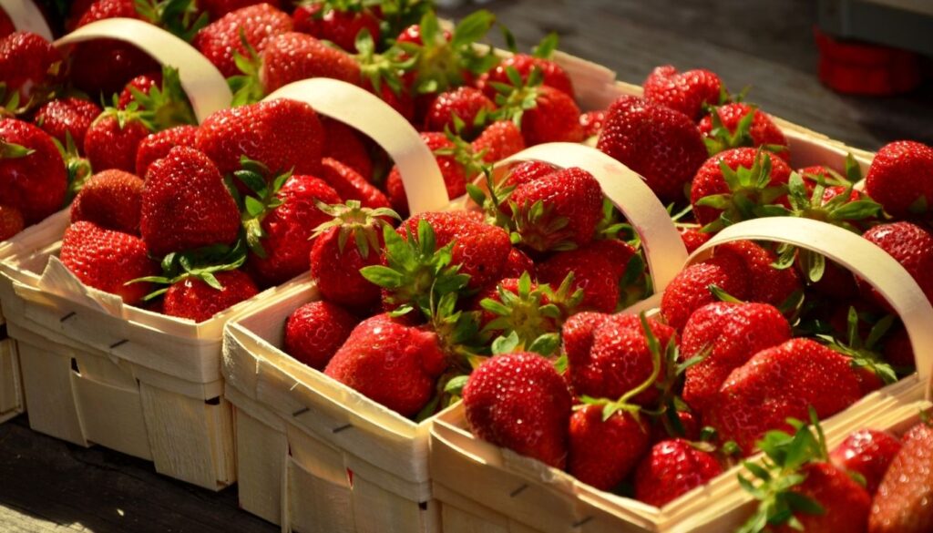 fraises dans l'économie