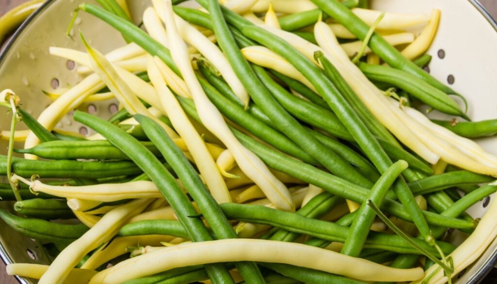 Variétés de haricot vert