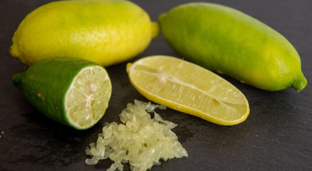 Citron caviar fruit