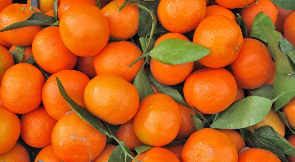 Clémentine fruit