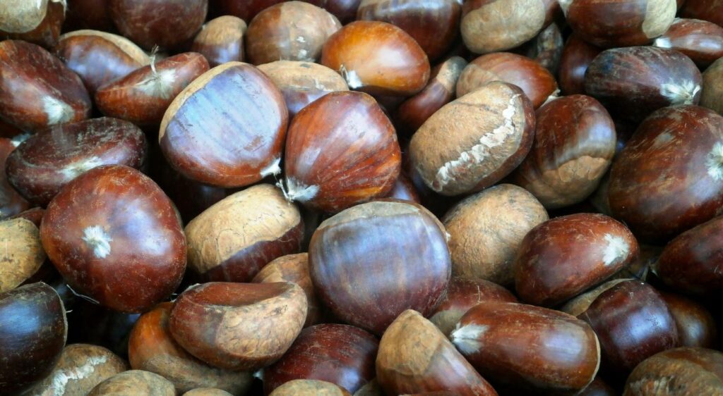 recette de la confiture de chataigne