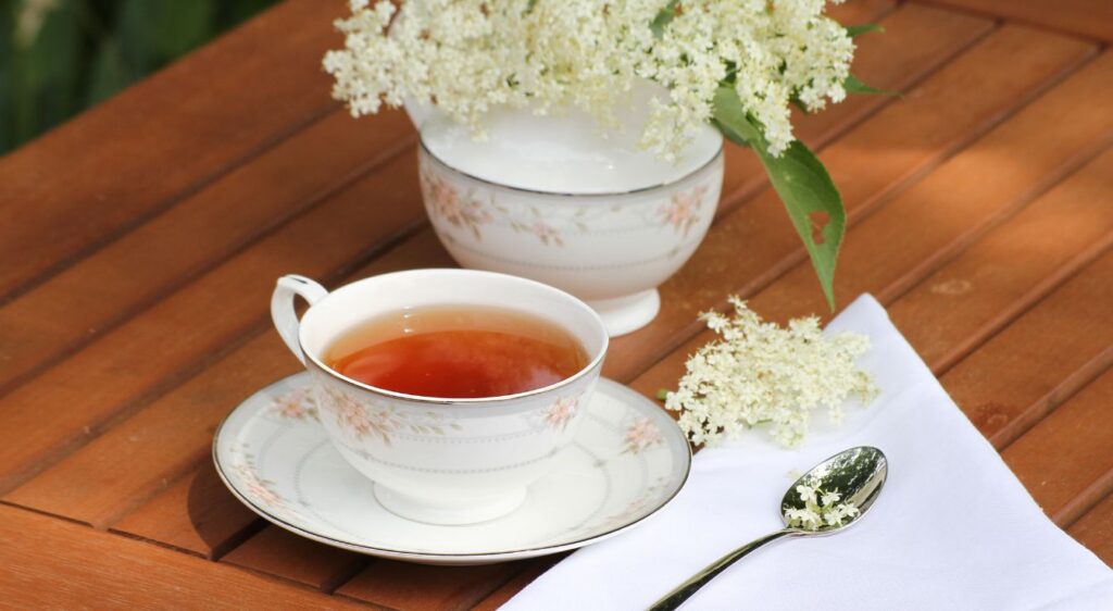 tisane de fleurs de sureau