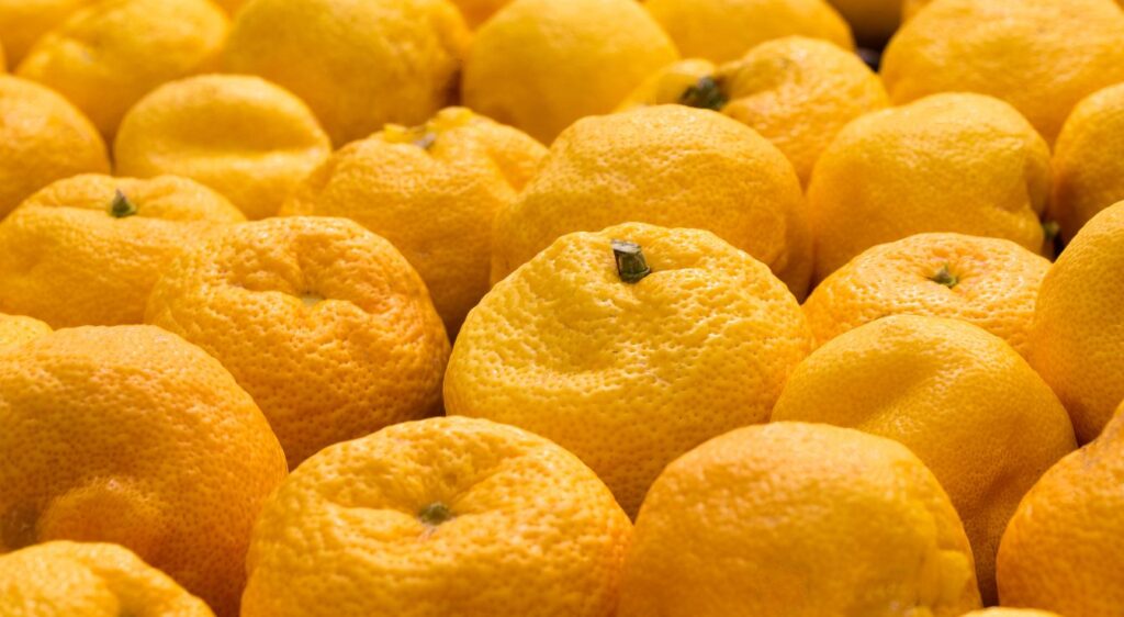 Yuzu fruits