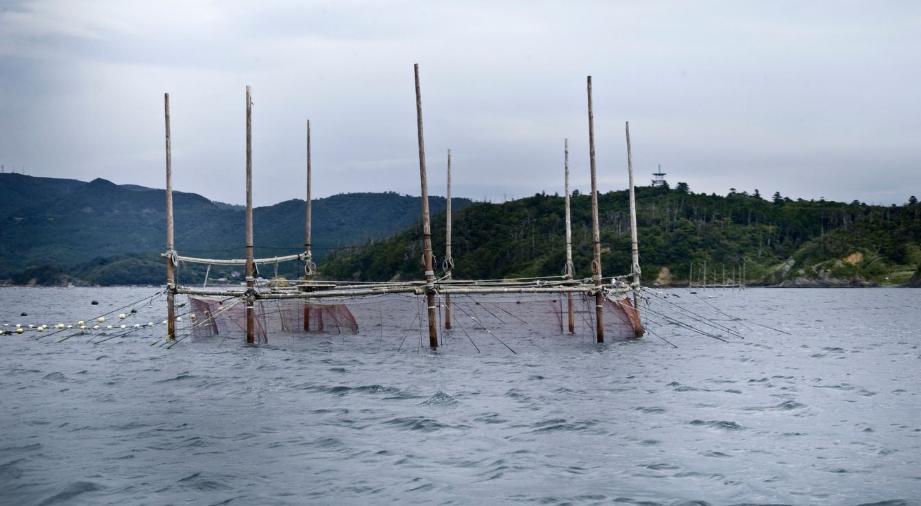 aquaculture