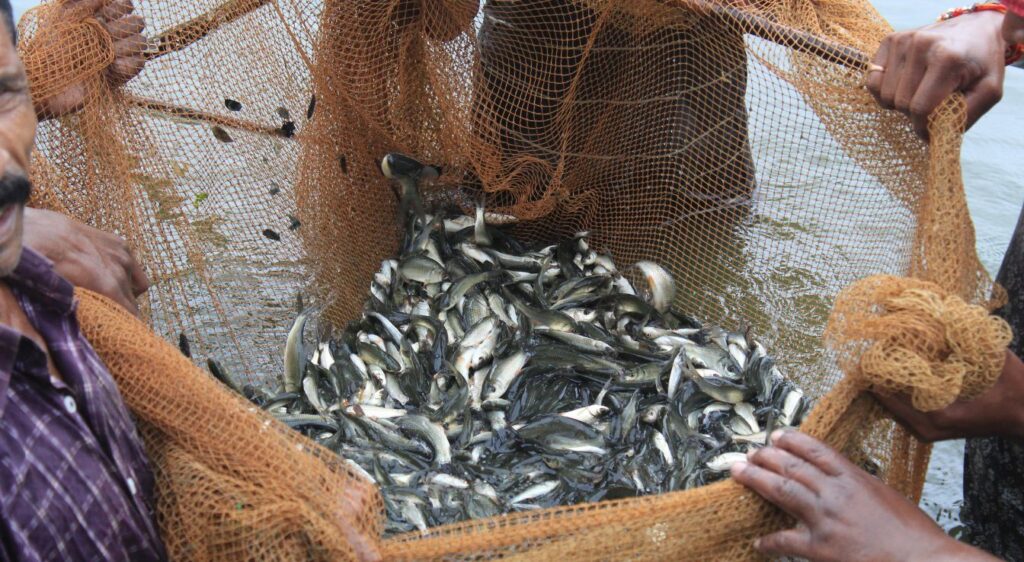 aquaculture