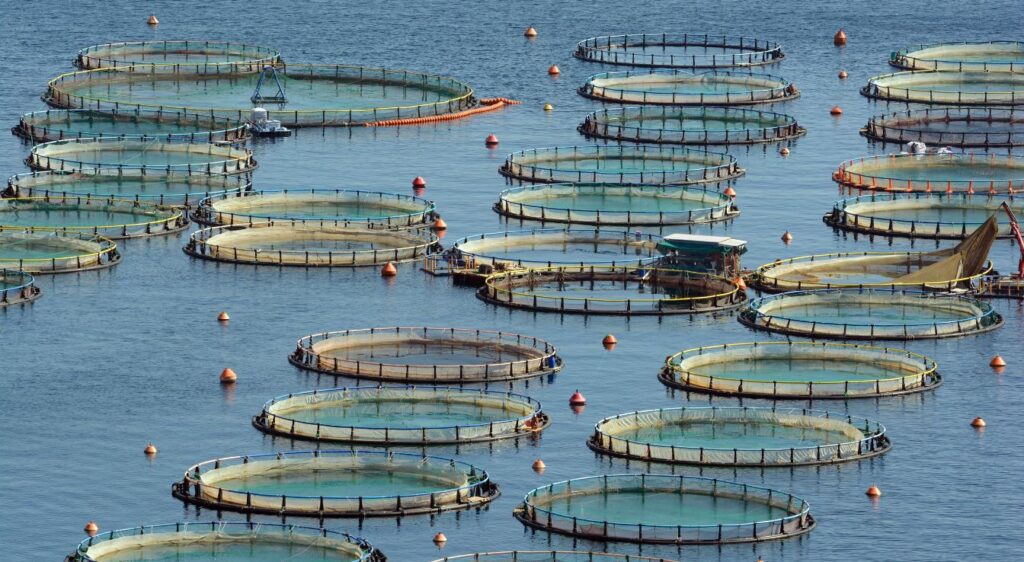 aquaculture