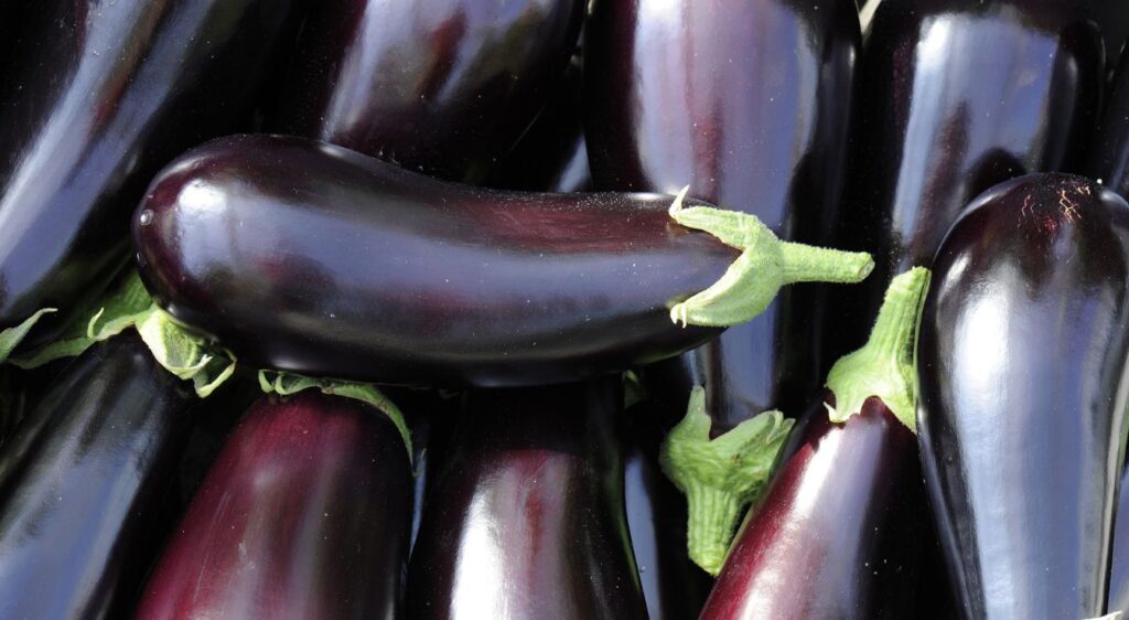 aubergines au four