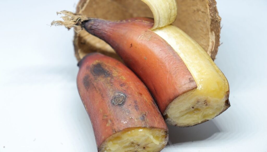 Bienfaits de la banane rouge