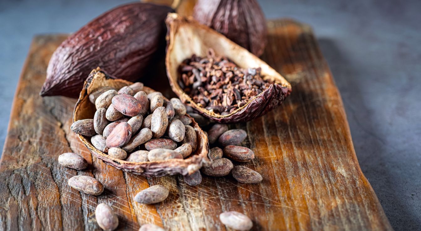 Bienfaits des fèves de cacao