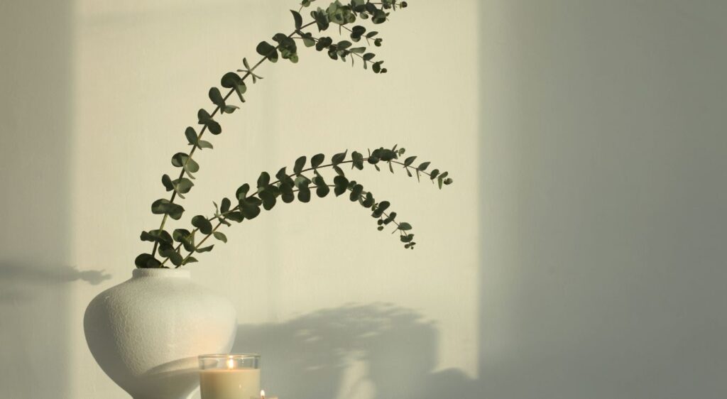 bouquet feuille d'eucalyptus