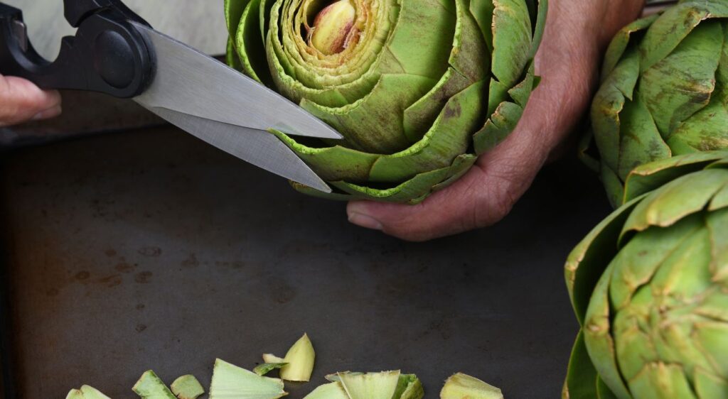 cuisson des artichauts