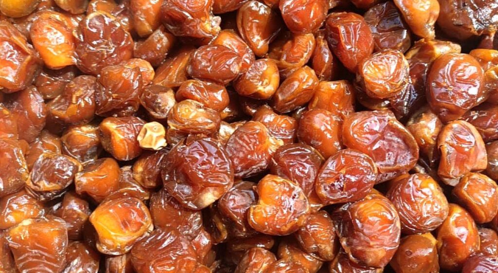 dattes sukari commerce