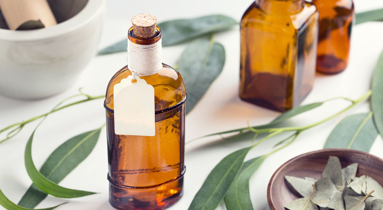 bienfaits de l'eucalyptus