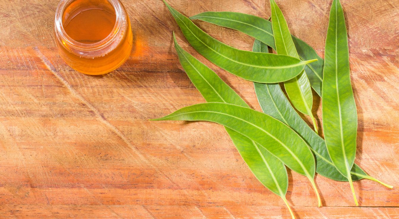 comment utiliser l'huile essentielle d'eucalyptus globulus