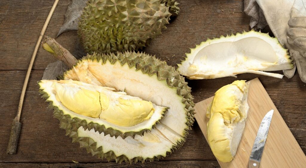 Gout durian