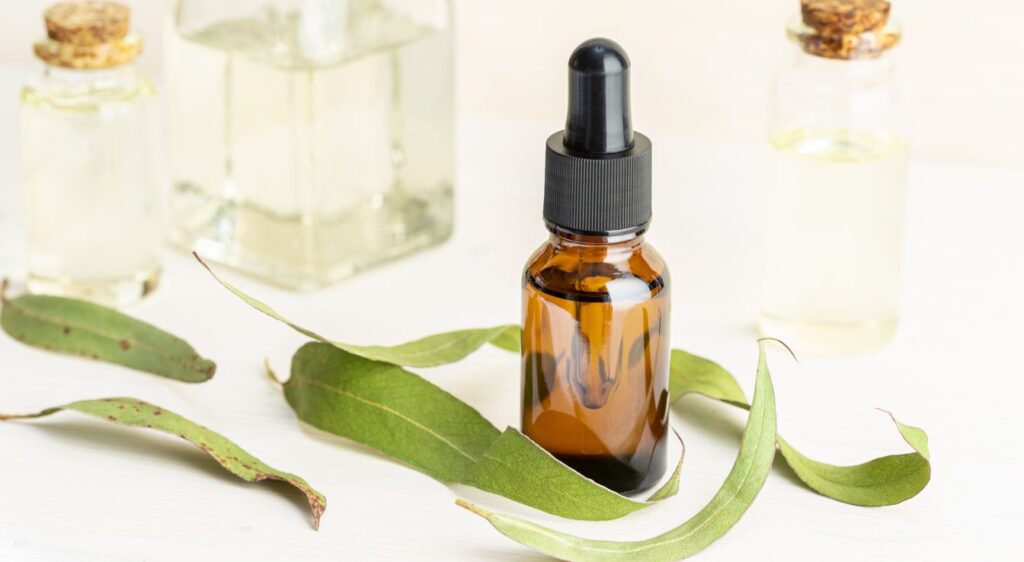 huile essentielle d'eucalyptus bienfaits​