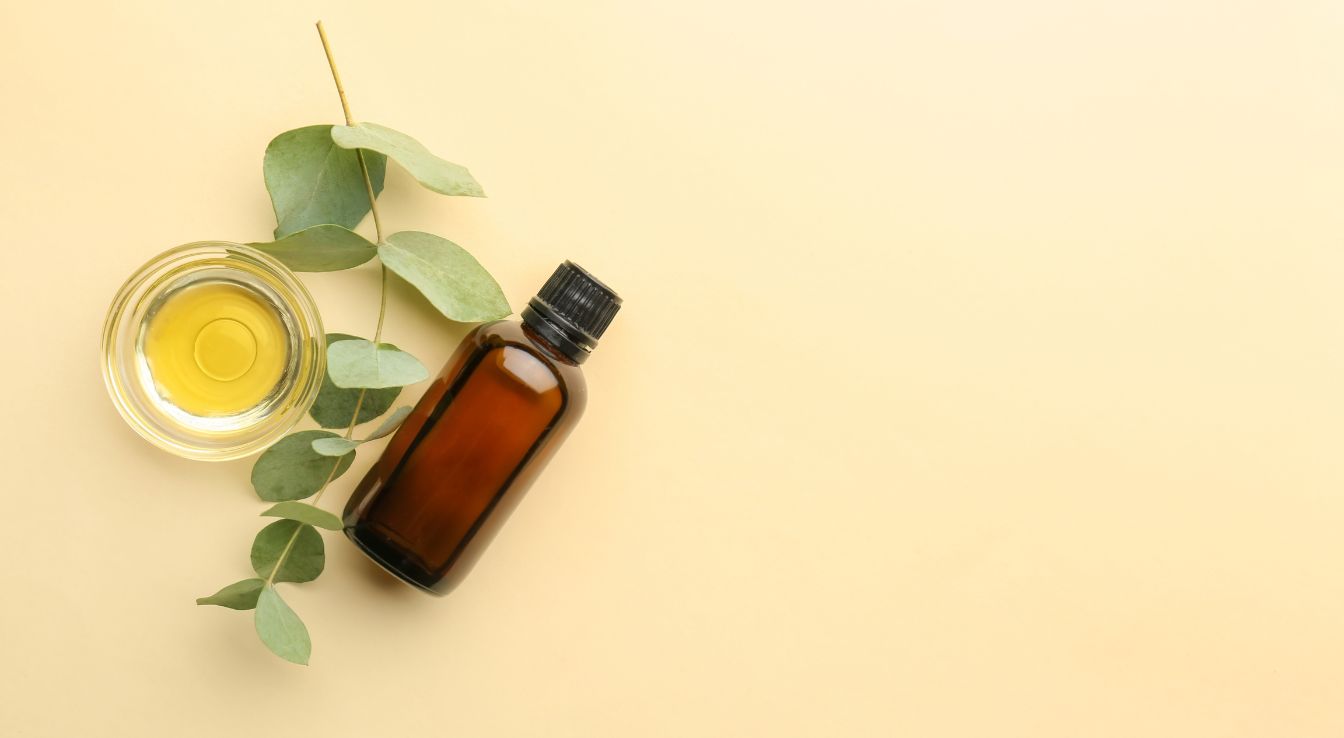 huile essentielle d'eucalyptus citronné bienfaits