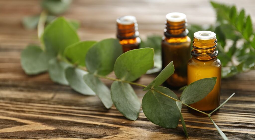 huiles essentielles d'eucalyptus