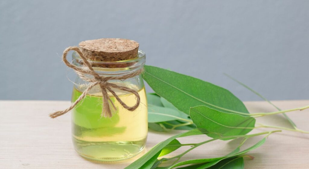 eucalyptus globulus huile essentielle mode d'emploi