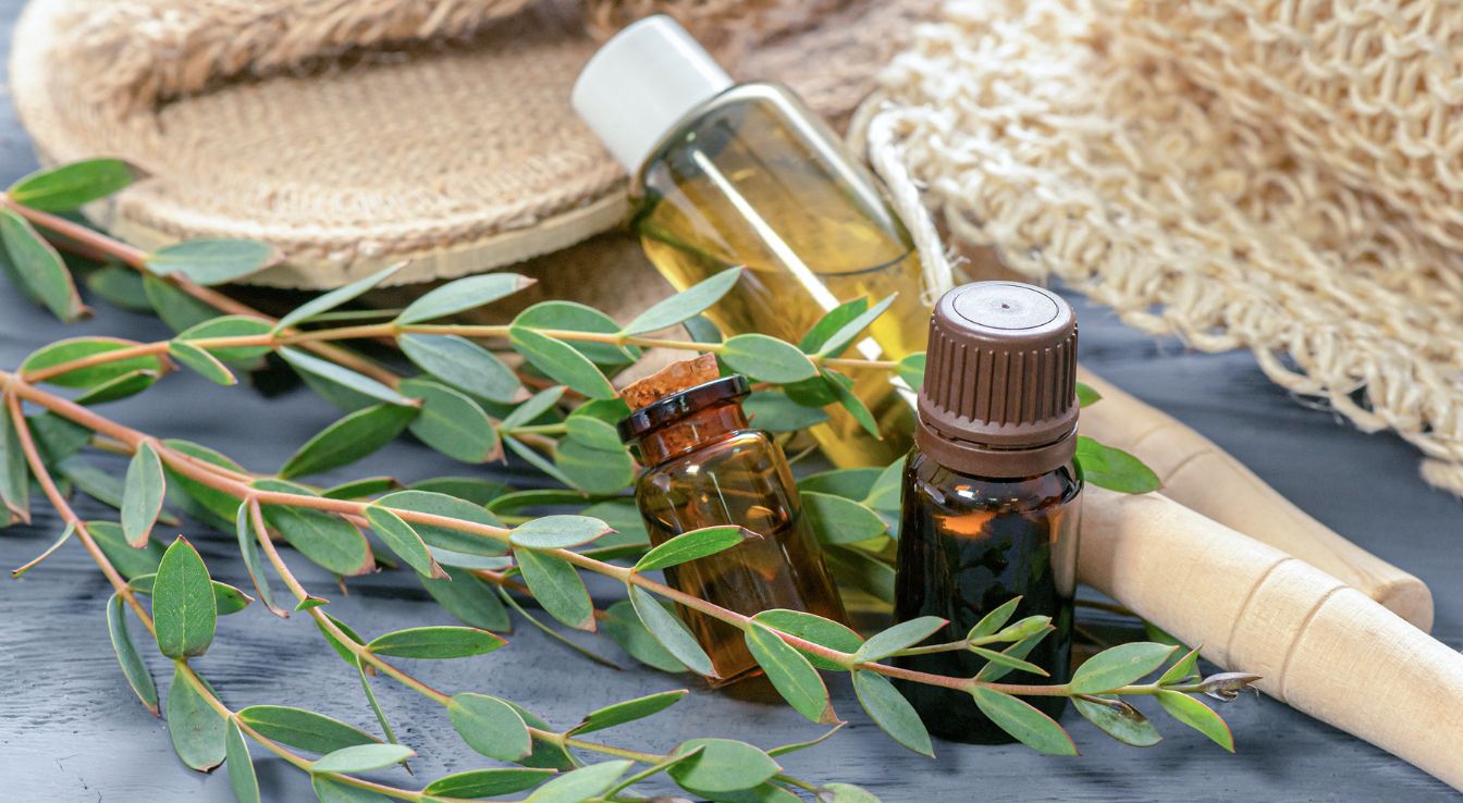 huile essentielle d'eucalyptus radie bienfaits