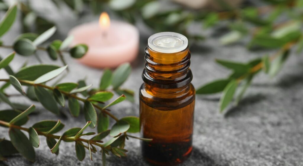 comment utiliser l'huile essentielle d'eucalyptus radié