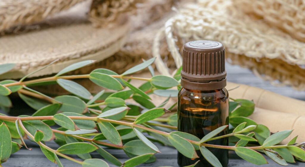 huile essentielle d'eucalyptus radie usages
