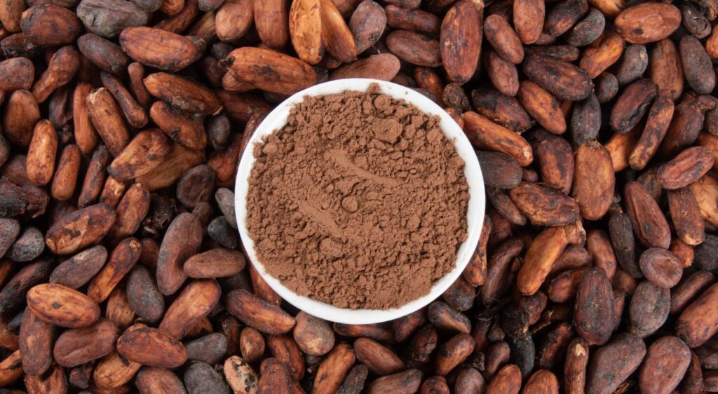 Feve de cacao bienfait 