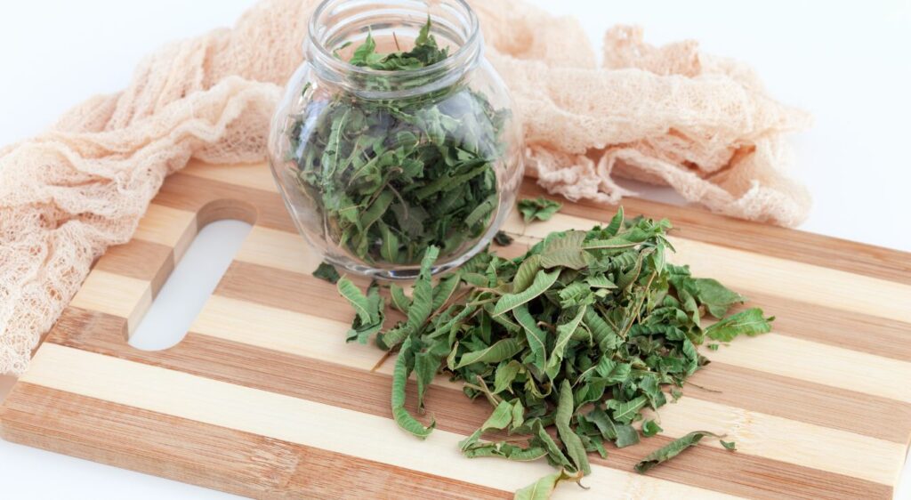 Preparation des feuilles de verveine