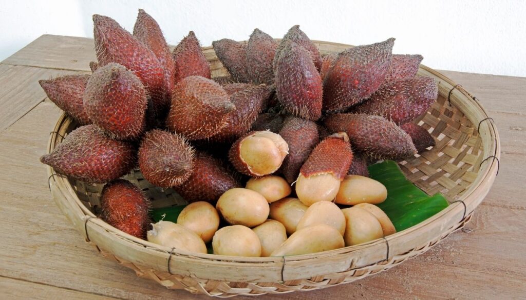 Salak snake fruit