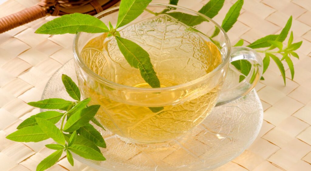 Usages de la verveine citronnelle