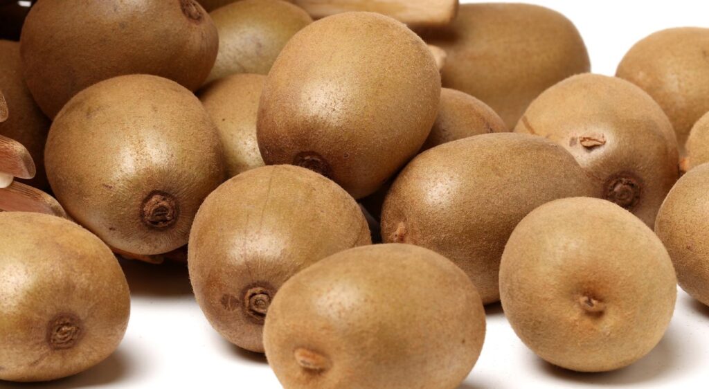 Actinidias chinensis kiwi