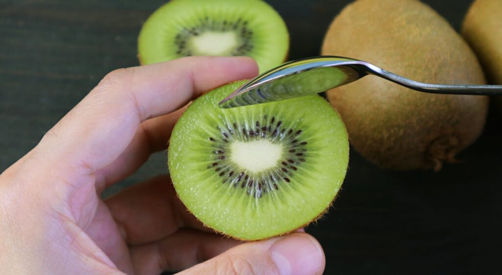 Actinidia deliciosa bienfaits