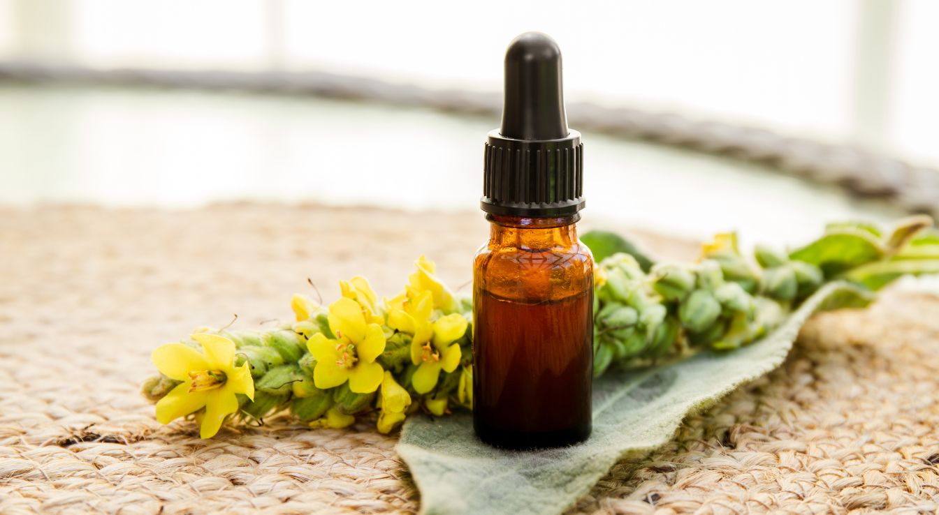 fleur de bach aigremoine bienfaits