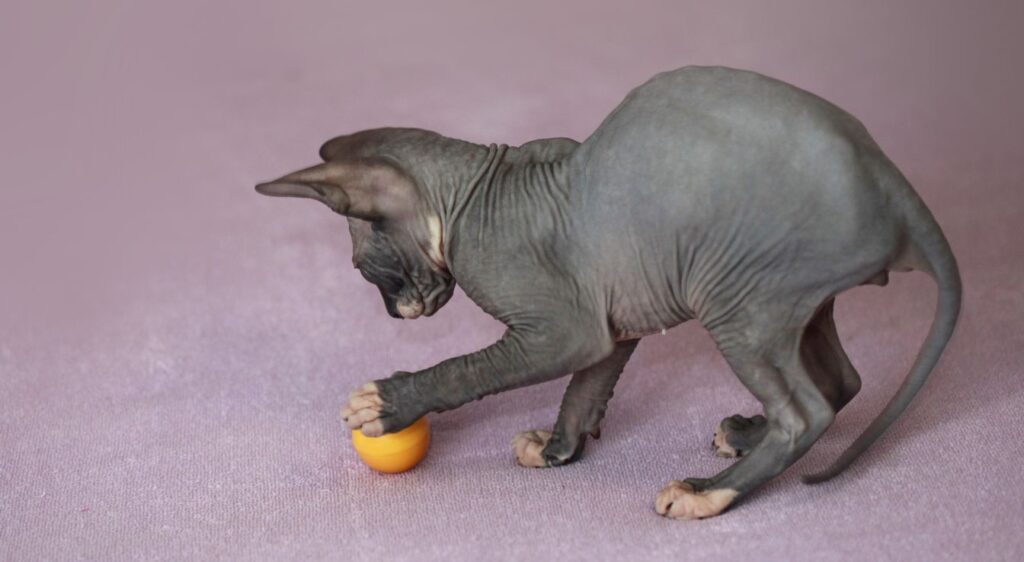 Minskin