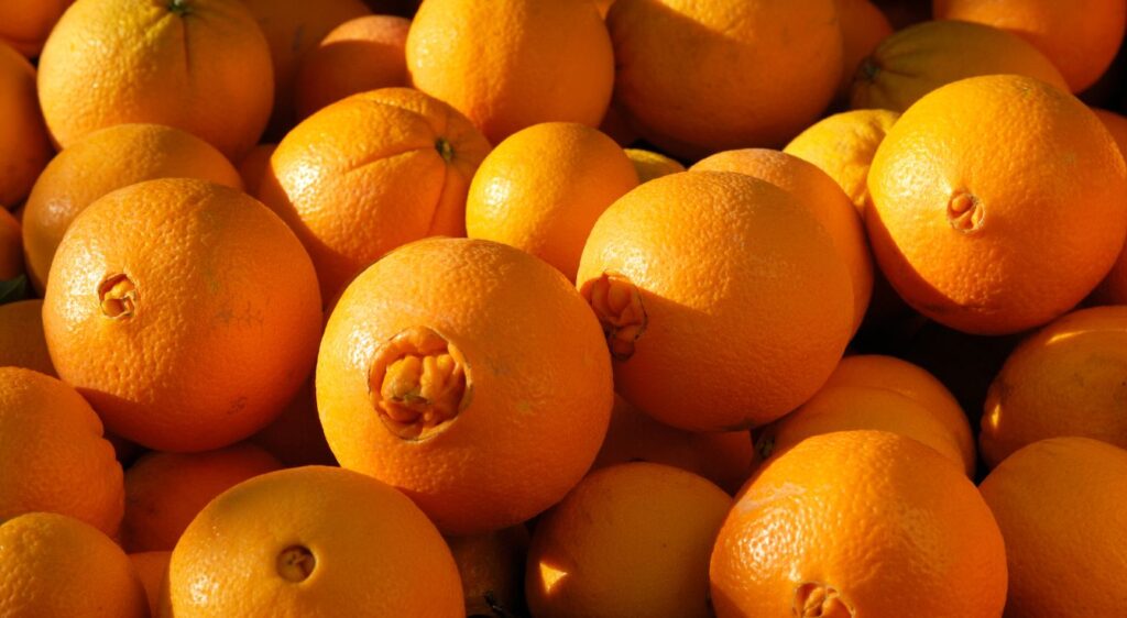 navel orange fruit