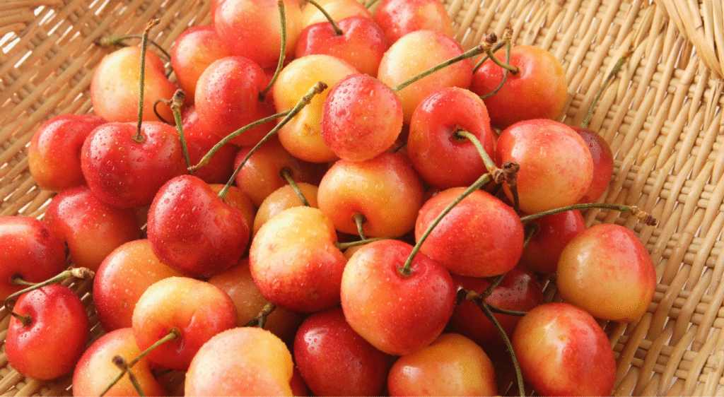 prunier-cerise fruit