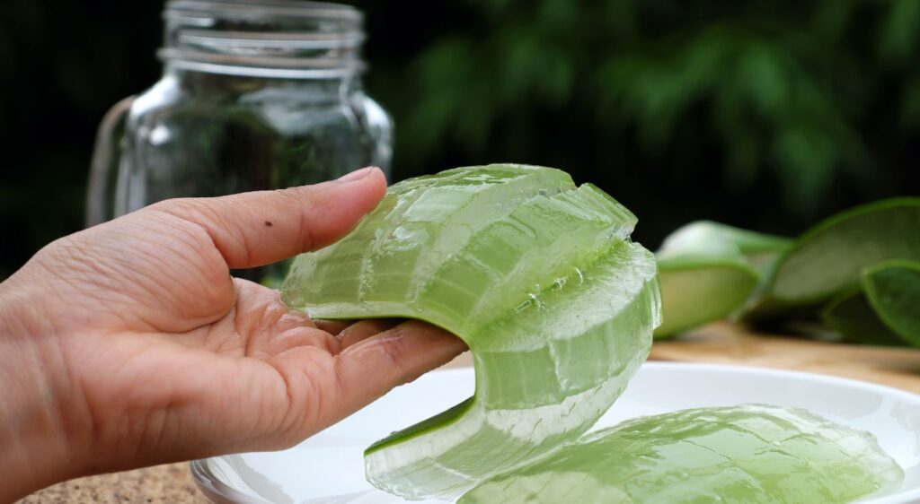 Aloe vera gel