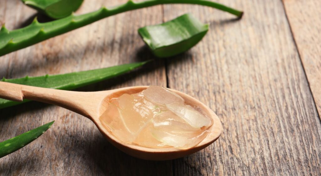 bienfaits du gel d'aloe vera à boire