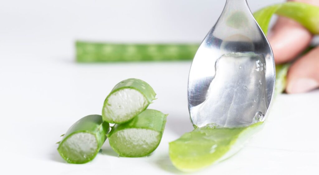 aloe vera a boire