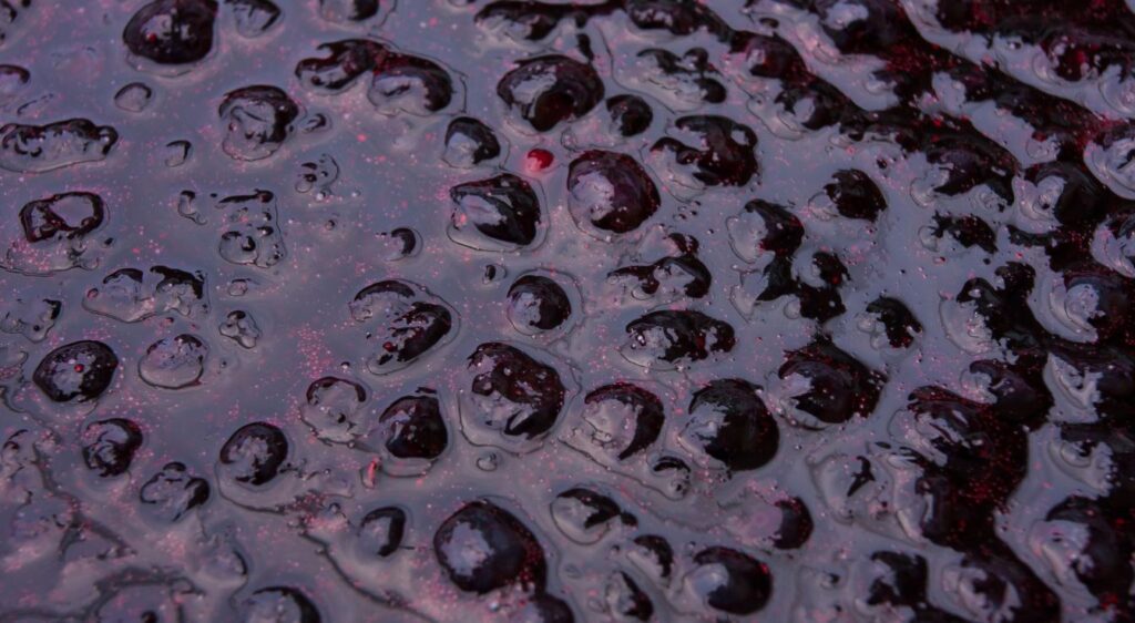 confiture de myrtille