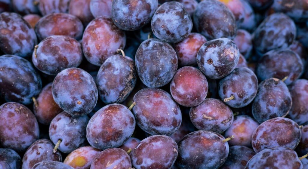 recette confiture de quetsches