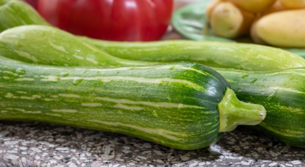 courge longue de Nice