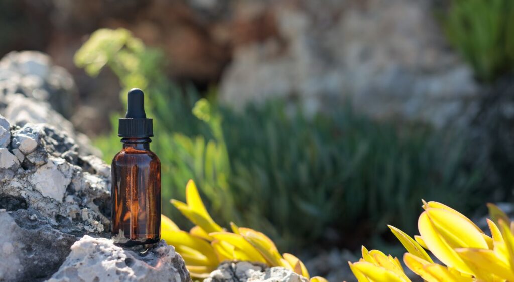 propriete fleurs de bach ajonc​